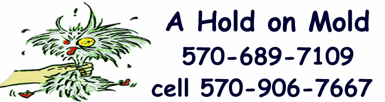 scranton toxic mold testing remediation removal prevention